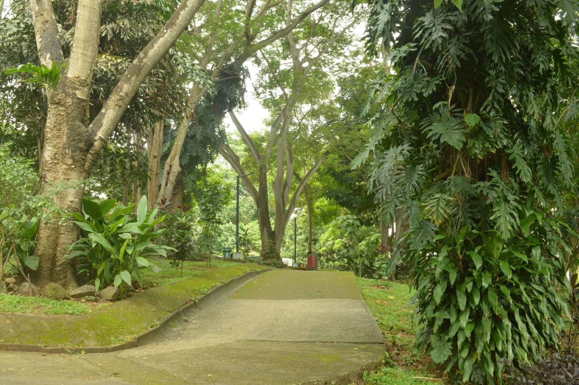 Totumas Lodge مدينة باناما المظهر الخارجي الصورة